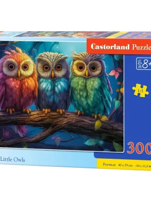 Castorland dėlionė  Three Little Owls 300 det.