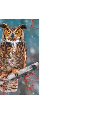 Castorland dėlionė Great Horned Owl  500 det.