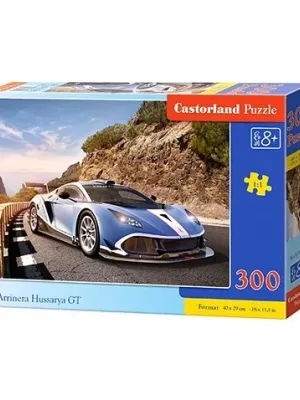 Castorland dėlionė Arrinera Hussarya Gt 300 det.