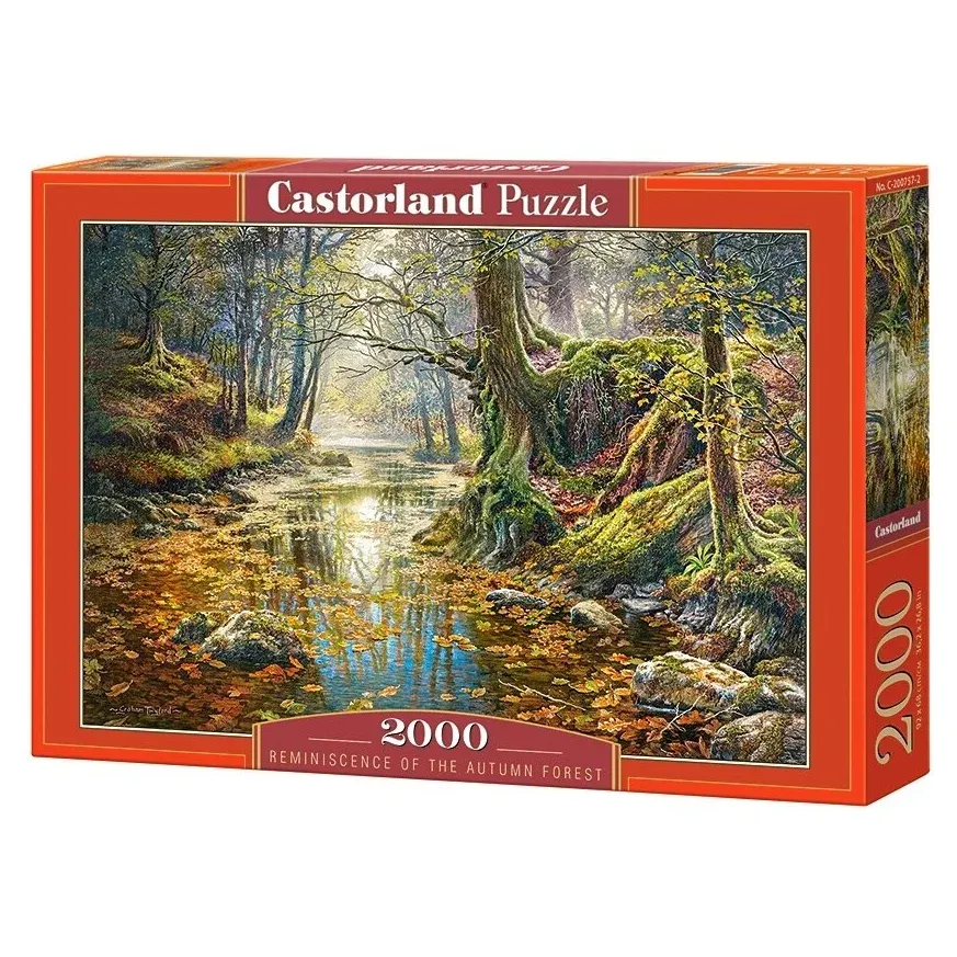 Castorland dėlionė Reminiscence of the Autumn Forest 2000 det