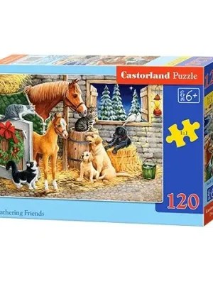Castorland dėlionė Gathering Friends 120 det.