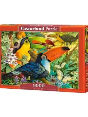 Castorland dėlionė INTERLUDE 3000 det.