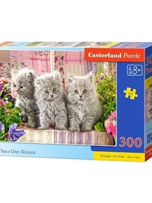 Castorland dėlionė Three Grey Kittens 300 det.