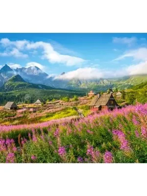 Castorland dėlionė Hala Gasienicowa, Tatras, Poland 1000 det.