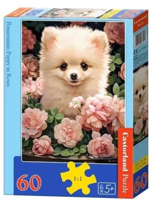 Castorland dėlionės Pomeranian Puppy in Roses 60 det.