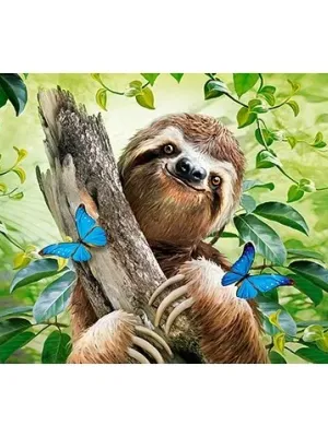 Castorland dėlionė Don't Hurry Be Happy 500 det tinginys