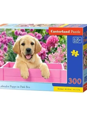 Castorland dėlionė Labrador Puppy In Pink Box 300 det.