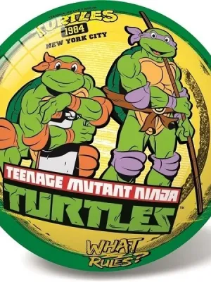 STAR kamuolys  Ninja Turtles retro 23 cm