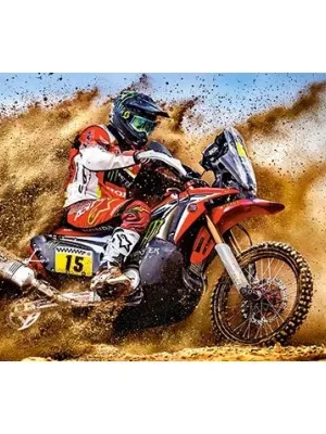 Castorland dėlionė Cascade Run  300 det.