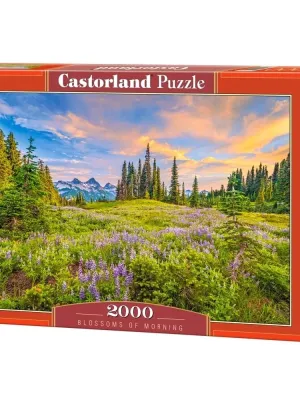 Castorland dėlionė Blossoms of Morning 2000 det.