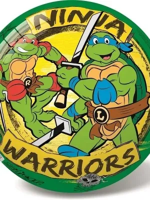 STAR kamuolys  Ninja Turtles retro 23 cm