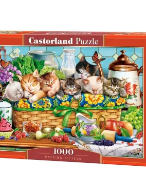Castorland dėlionė Napping Kittens 1000 det.