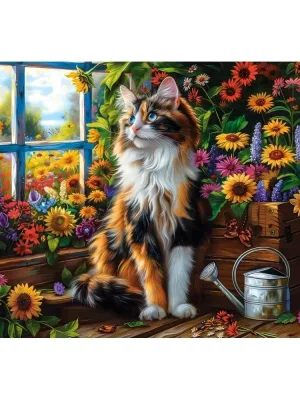 Castorland dėlionė Blooming Cat Meditation 1000 det