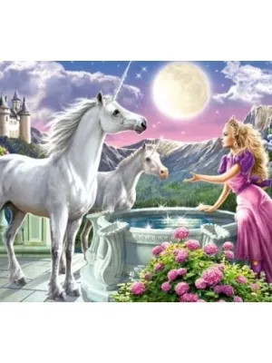 Castorland dėlionė Princess and her Unicorns 120 det.