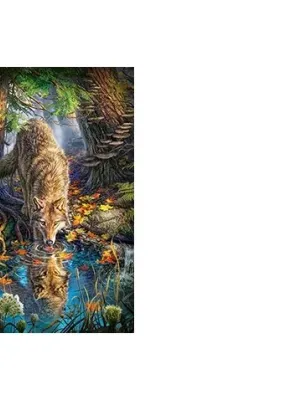 Castorland dėlionė WOLF IN THE WILD 1500 det.