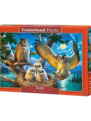 Castorland dėlionė  Owl Family 500 det