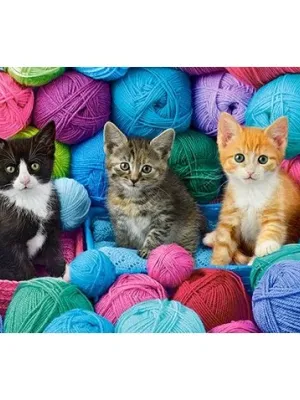 Castorland Dėlionė  Kittens In Yarn Store 300 Det.