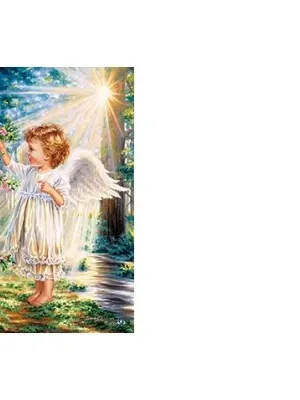 Castorland dėllionė An Angel's Touch  1000 det.