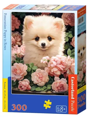 Castorland dėlionė  Pomeranian Puppy in Roses 300 det.