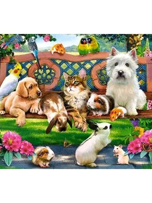 Castorland dėllionė PETS IN THE PARK 1000 det.