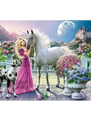 Castorland Dėlionė My Friend Unicorn 300 Det