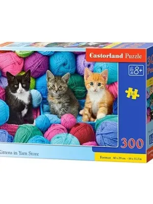 Castorland Dėlionė  Kittens In Yarn Store 300 Det.