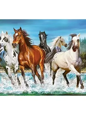 Castorland dėlionė CALL OF NATURE  2000 det.