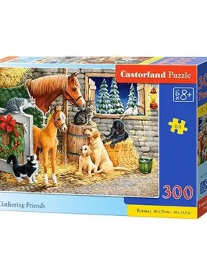 Castorland Dėlionė Gathering Friends 300 Det.