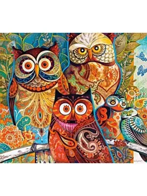 Castorland dėlionė Owls 2000 det.