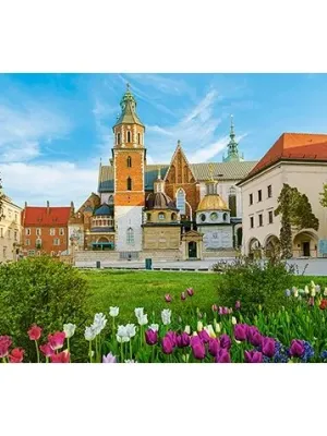 Castorland Dėlionė  Wawel Castle In Krakow, Poland 500 Det