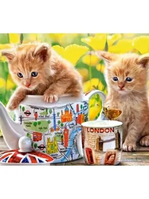 Castorland dėlionė Tea Time 500 det.