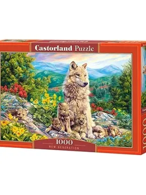 Castorland Dėllionė  New Generation 1000 Det.