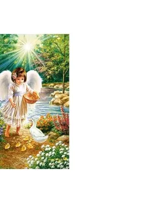 Castorland Dėlionė  An Angel's Warmth  500 Det