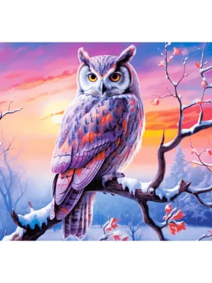 Castorland dėlionė Owls Perfect Evening 500 det