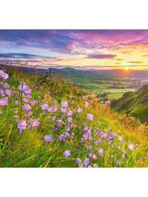 Castorland dėlionė Harebells at Sunrise 500 det.