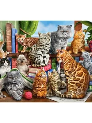 Castorland dėlionė House of Cats  2000 det.