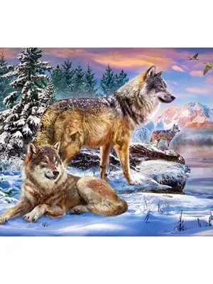 Castorland dėlionė Wolfish Wonderland  500 det.