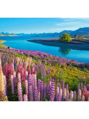 Castorland dėlionė Lake Tekapo New Zealand 500 det.