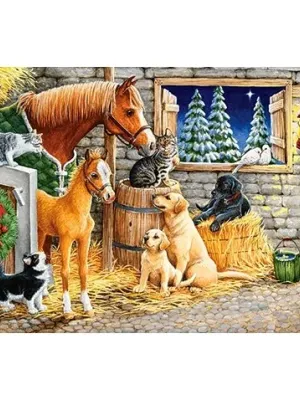 Castorland Dėlionė Gathering Friends 300 Det.