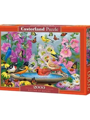 Castorland dėlionė RHYTHM OF NATURE 2000 det.