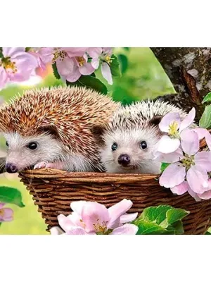 Castorland dėlionė SPRINGTIME 120 det.