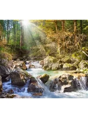 Castorland dėlionė Sunny forest  2000 det.