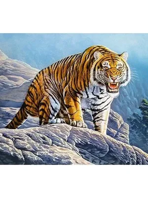 Castorland dėlionė Tiger on the Rocks 500 det