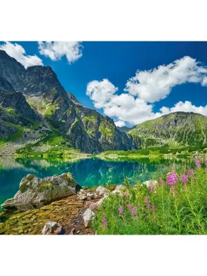 Castorland dėlionė Czarny Staw pod Rysami, Tatras, Poland 500 det