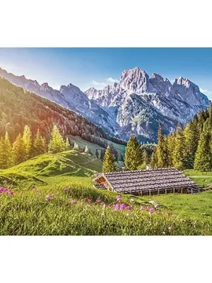 Castorland dėlionė Summer in the Alps  500 det.