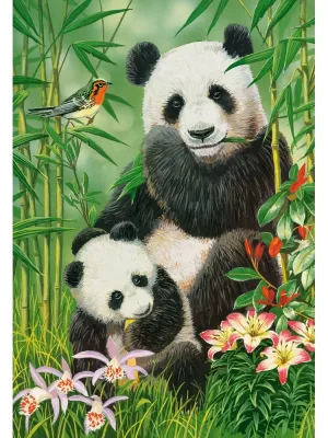 Castorland dėlionė Panda Brunch 1000 det.