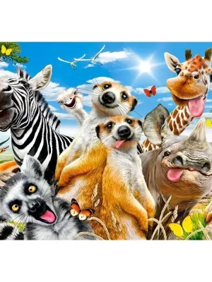 Castorland dėlionė African Selfie 500 det