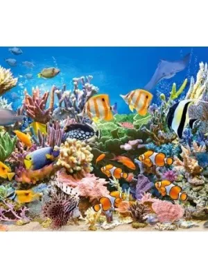 Castorland dėlionė  COLOURS OF THE OCEAN 260 det.