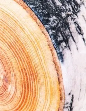 Fancy minkštas žaislas beržo rąstas 38 cm