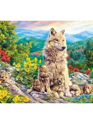 Castorland Dėllionė  New Generation 1000 Det.